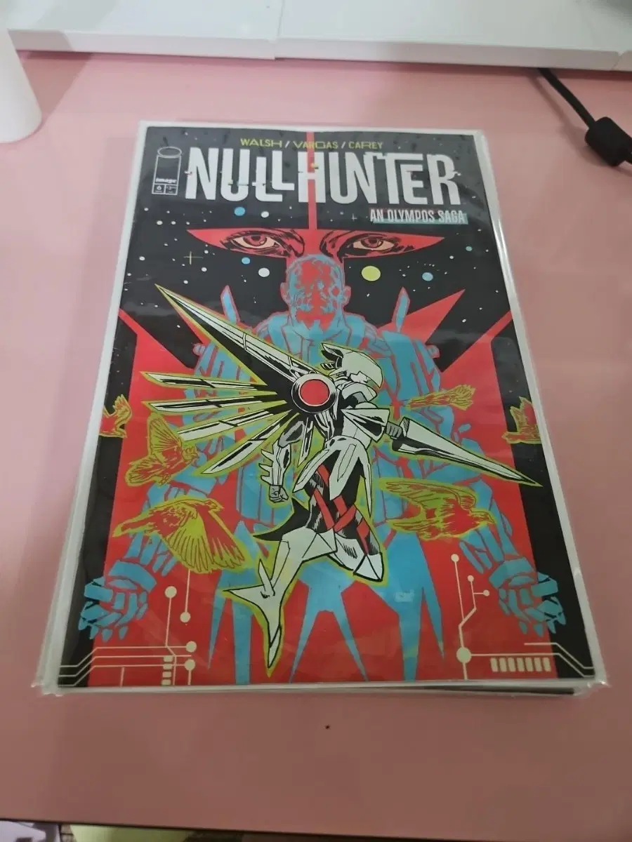 N / 2025 / NULLHUNTER #6
