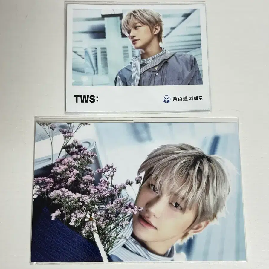 투어스 tws 한지훈 지훈 엽서지류포카 차백도 특전 팝업