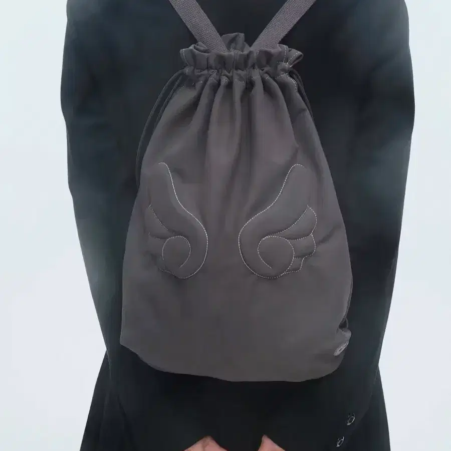 코이세이오 스부 엔젤윙 백팩 가방 슈케이스