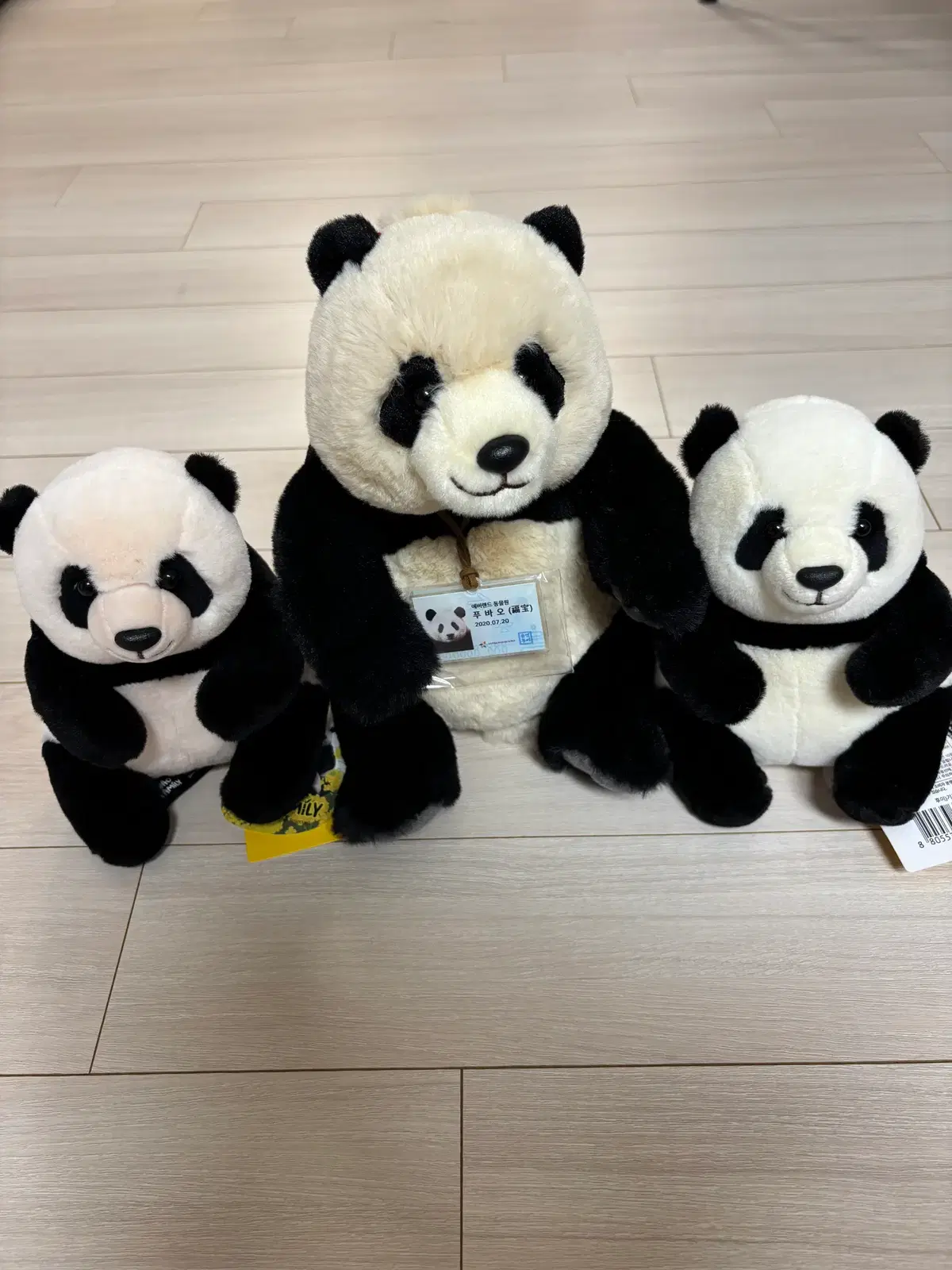 푸루후 인형 (일괄)