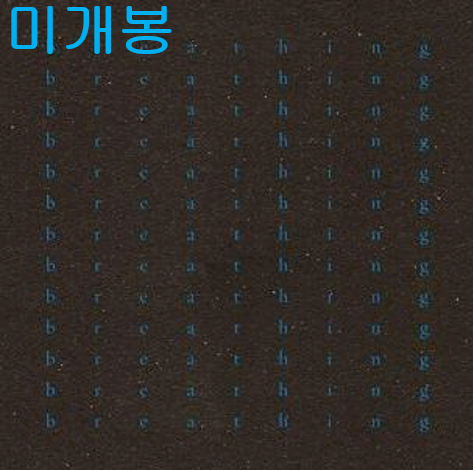 전진희 - Breathing (미개봉, CD)
