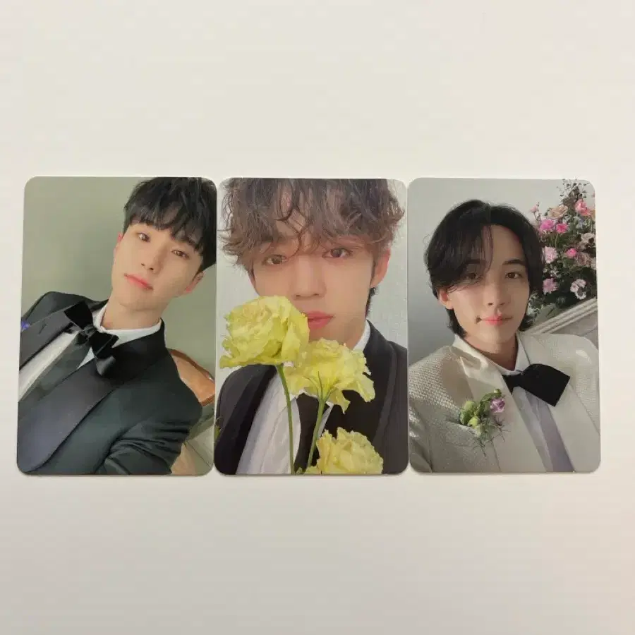 세븐틴 FML 캐럿 버전 포카