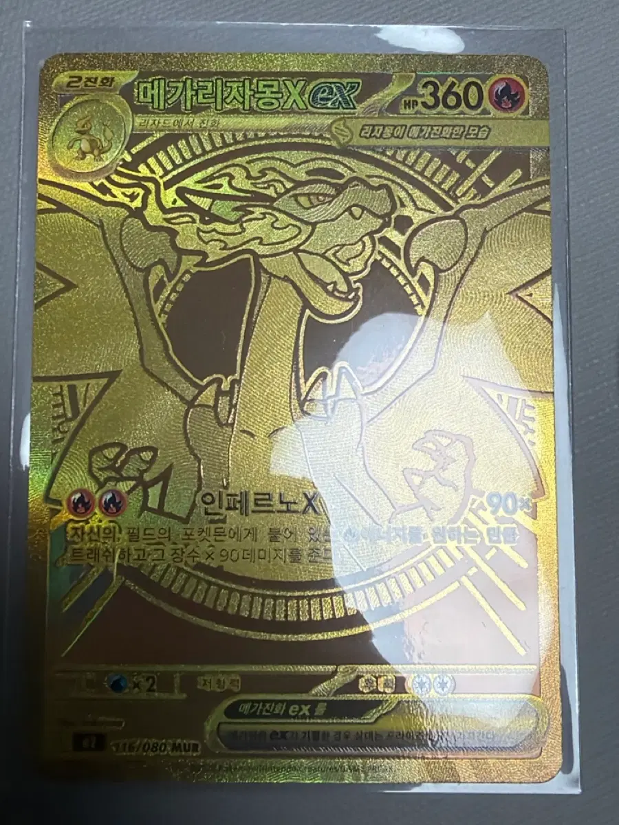 메가리자몽x ex Mur