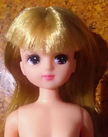 리카짱 인형 4대 일본제 옷 갈아입히기 인형 레트로