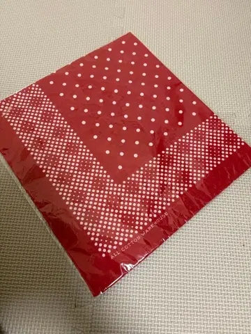 하우스 반다나 레드