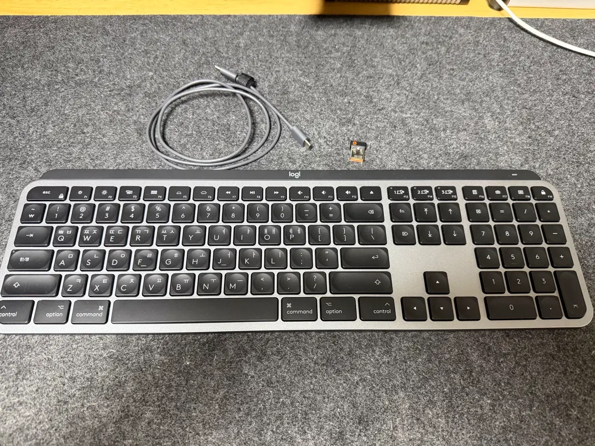 로지텍 MX KEYS FOR MAC + USB C 케이블