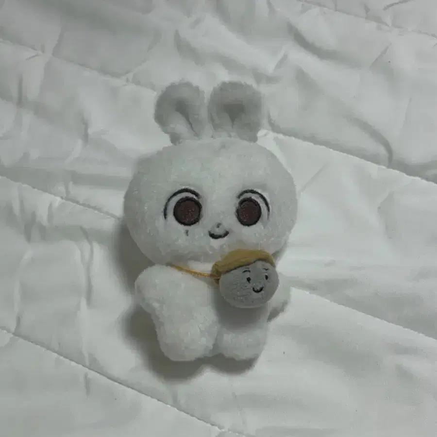 세븐틴 정한 윤정한 인형 쫑모찌 돌쫑이