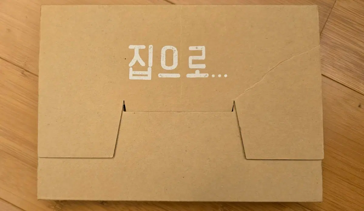 집으로... 스페셜 에디션(SE) 2Disc DVD 한정판 패키지