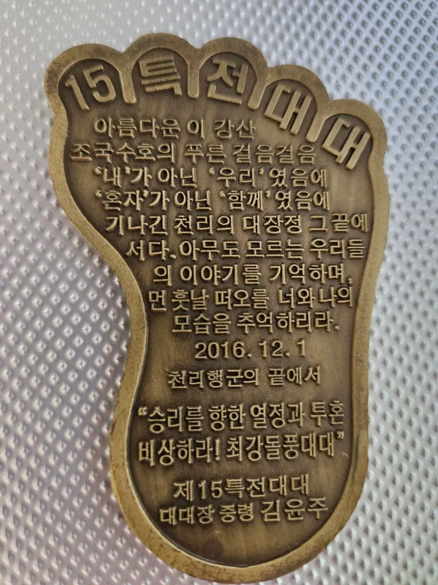 제3공수15특전대대 천리행군 코인