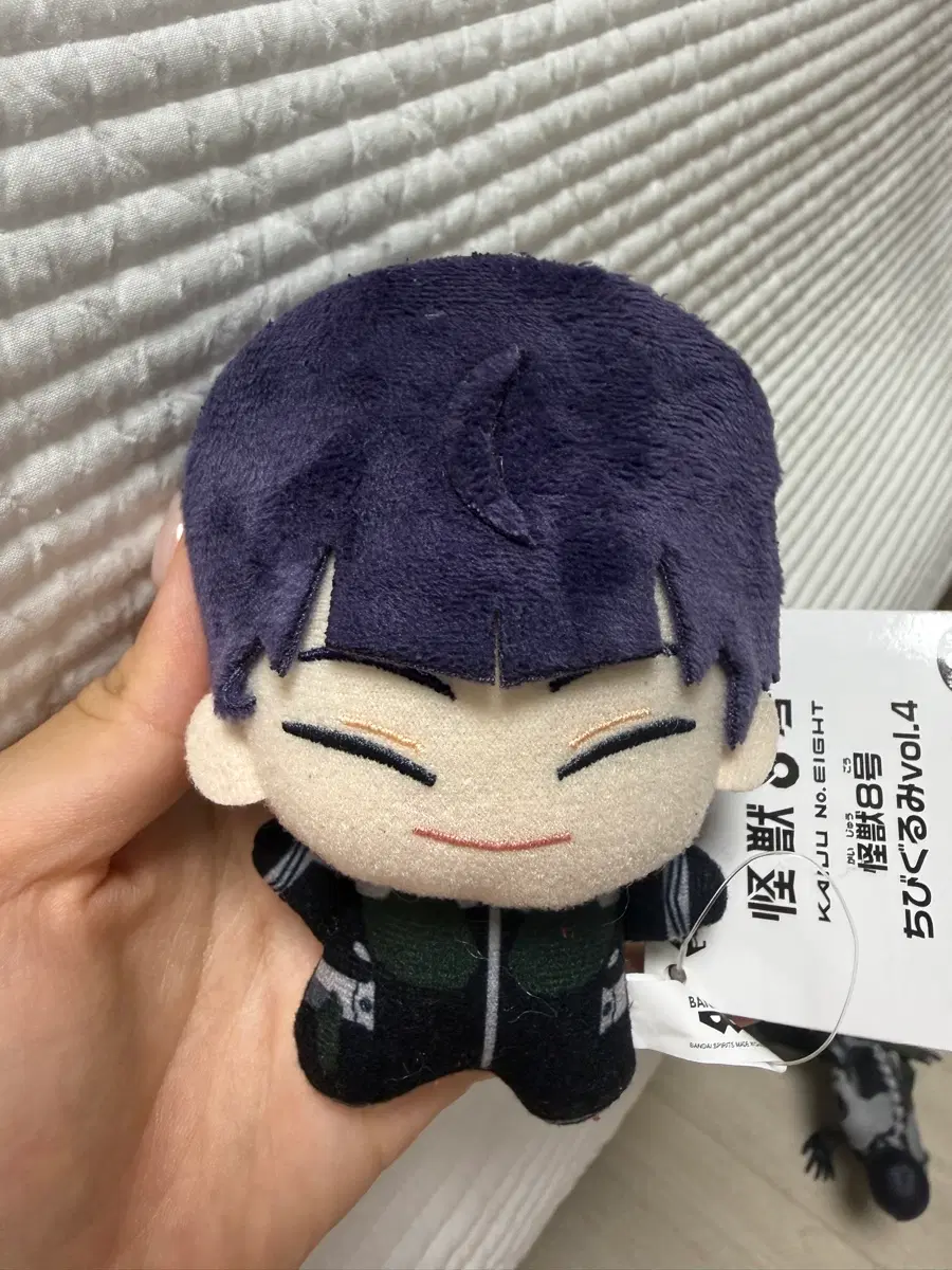 호시나 소우시로 치비구루미 누이