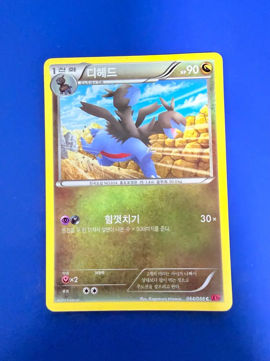 포켓몬카드 2014년 고대카드 XY 디헤드 카드