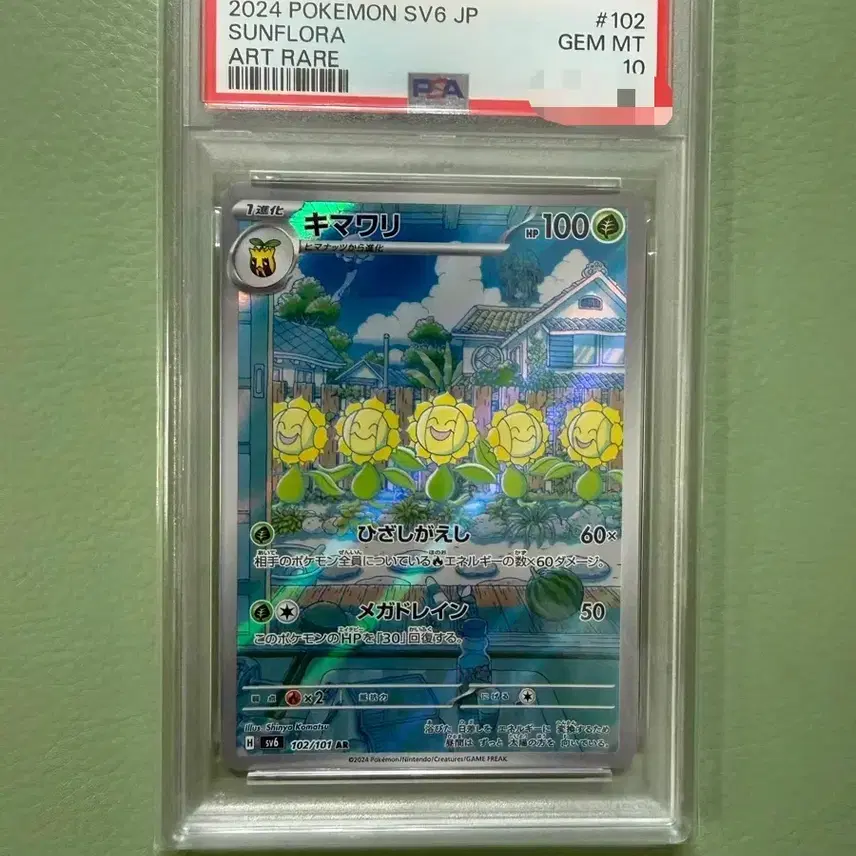 포켓몬카드 해루미 일판 PSA 10