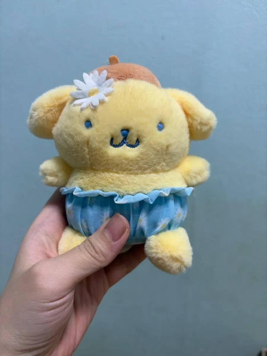 일본정품) 데이지 꽃 빤쮸 폼폼푸린 마스코트