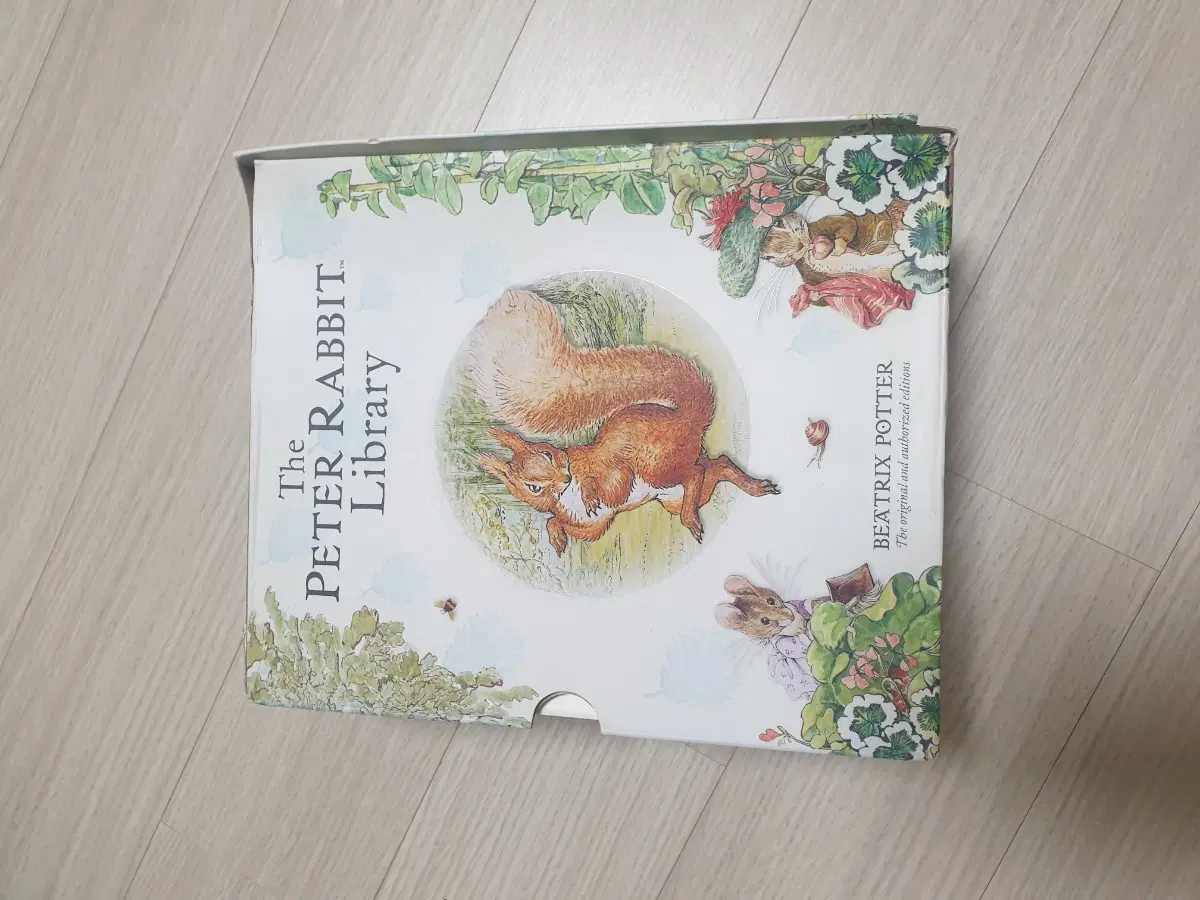영어책 (The Tale of MR.jeremy fisher)