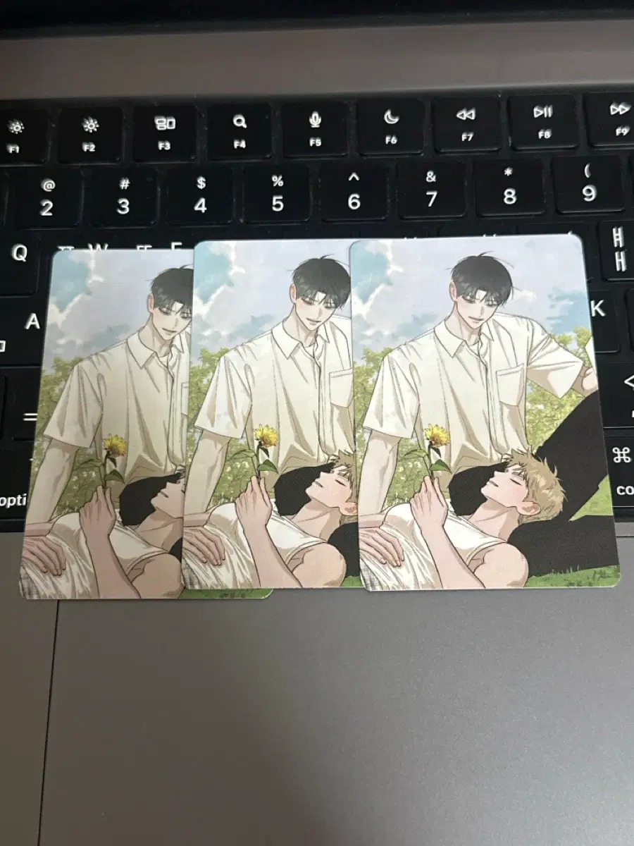 홍실 퀘스트 홍퀘 팝업 특전 포카