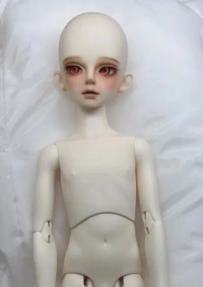 루츠돌 msd 키드 델프 테라 구체관절인형