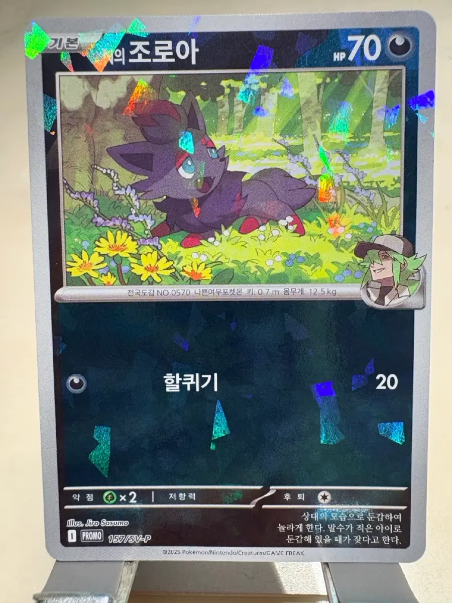 N의 조로아 프로모카드