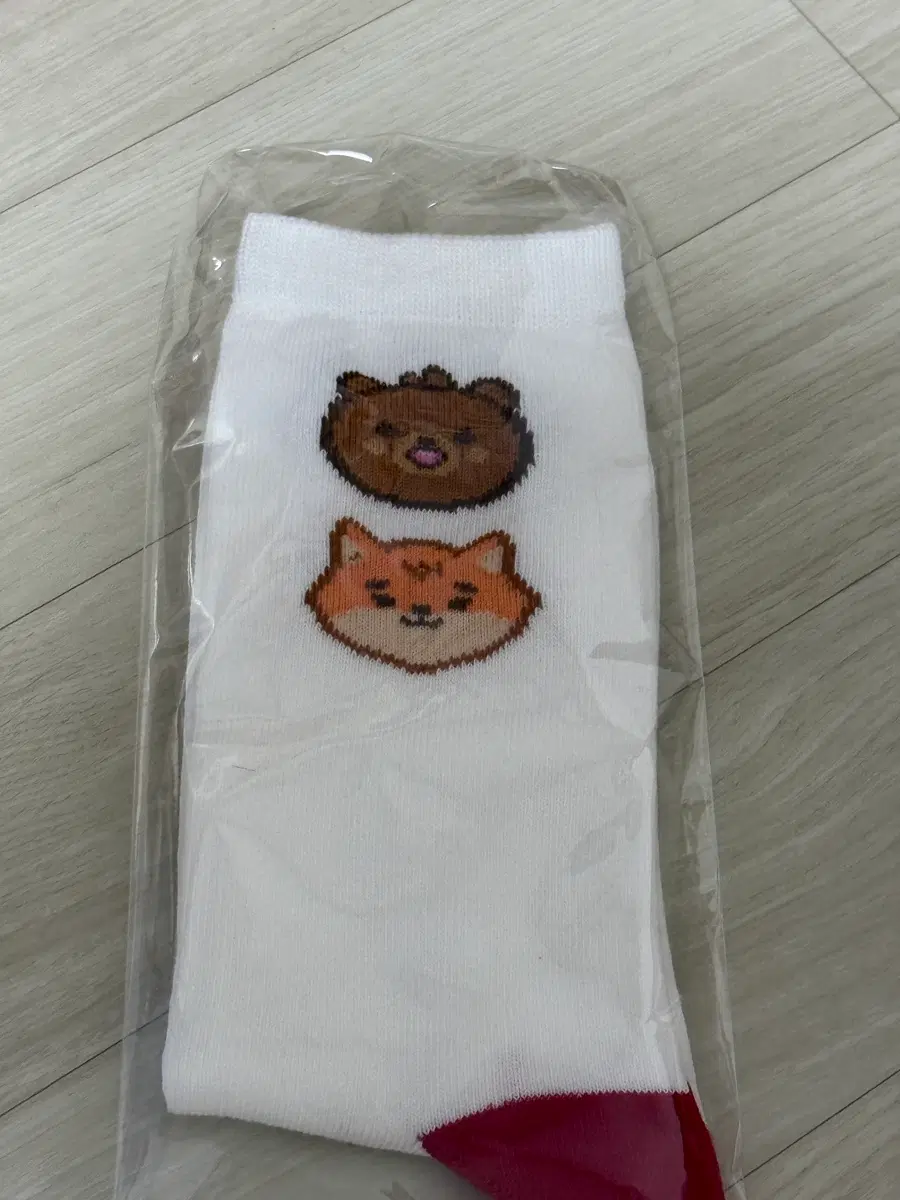 데이식스 클콘 양말