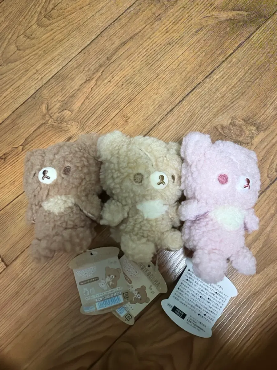 컬러 뽀글이 근본 코구마 세마리 일괄판매