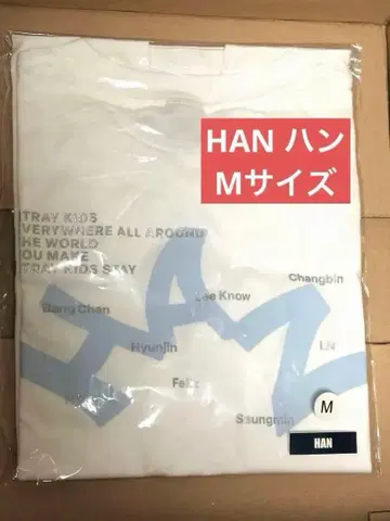 straykids RUN IT JAPAN 스키즈 티셔츠 HAN 한 M