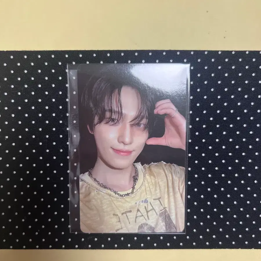 세븐틴 디노 피철인 길보드쇼 회장한정 포카