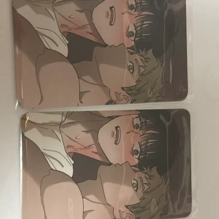홍실퀘스트 포카팔아요