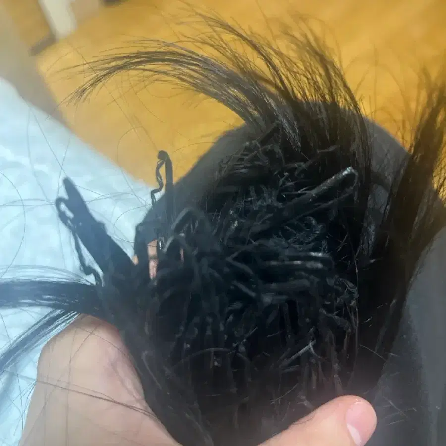 붙임머리
