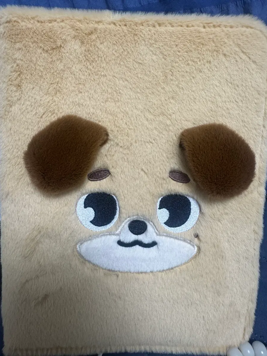 데이식스 돈 포카 바인더(포카 포함)