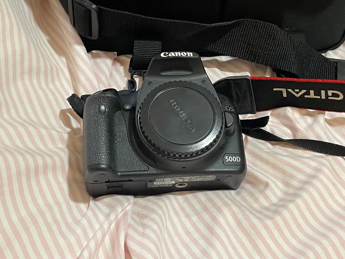 케논 500D (충전기 가방 렌즈 두개 포함)