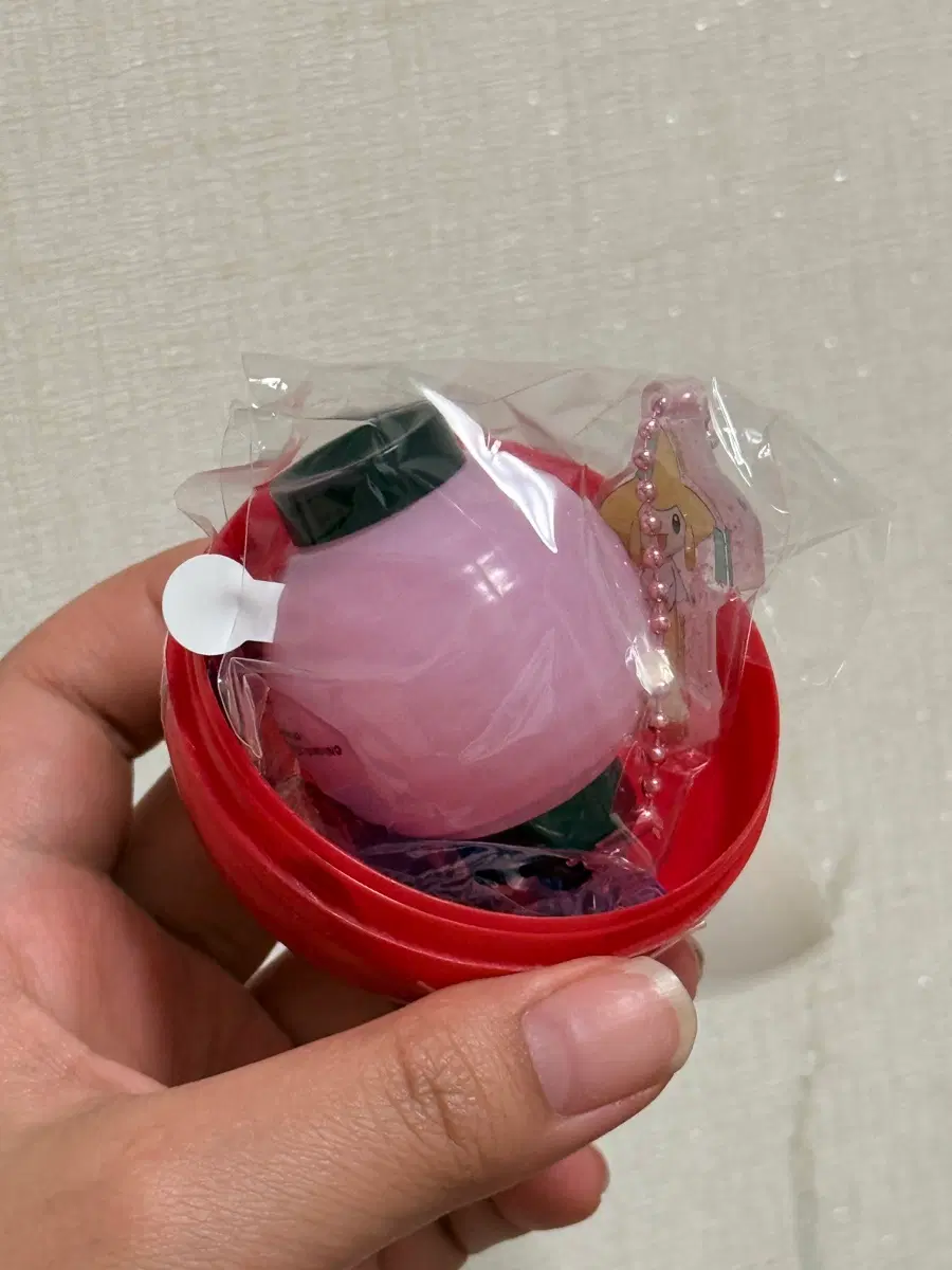 별빛낙원 지라치 풍등