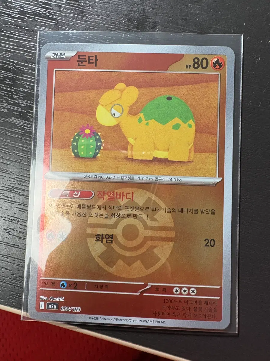 포켓몬카드 둔타 몬스터볼 홀로