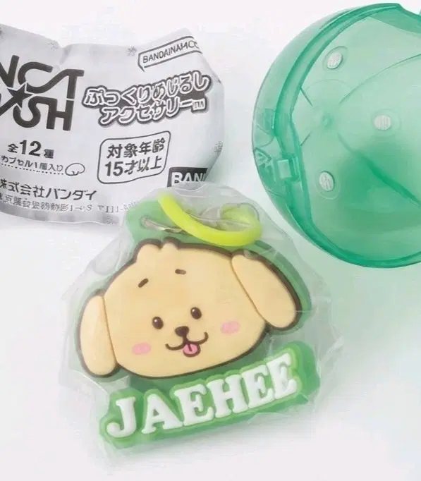 엔시티 위시 위시돌 댕트 메지루시 위시