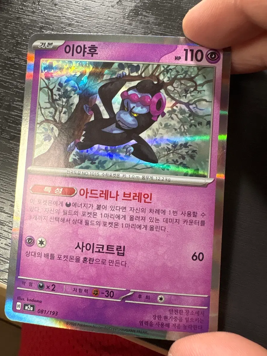 포켓몬카드 이야후 R
