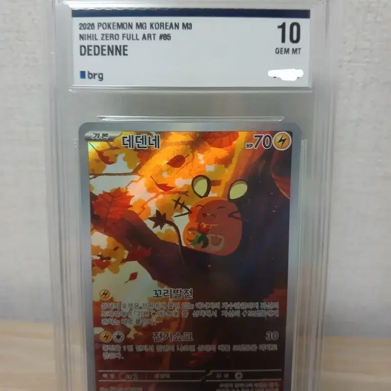 포켓몬카드 데덴네ar BRG 10