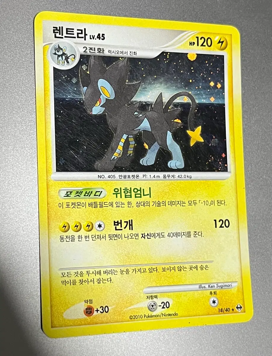 포켓몬 카드 렌트라