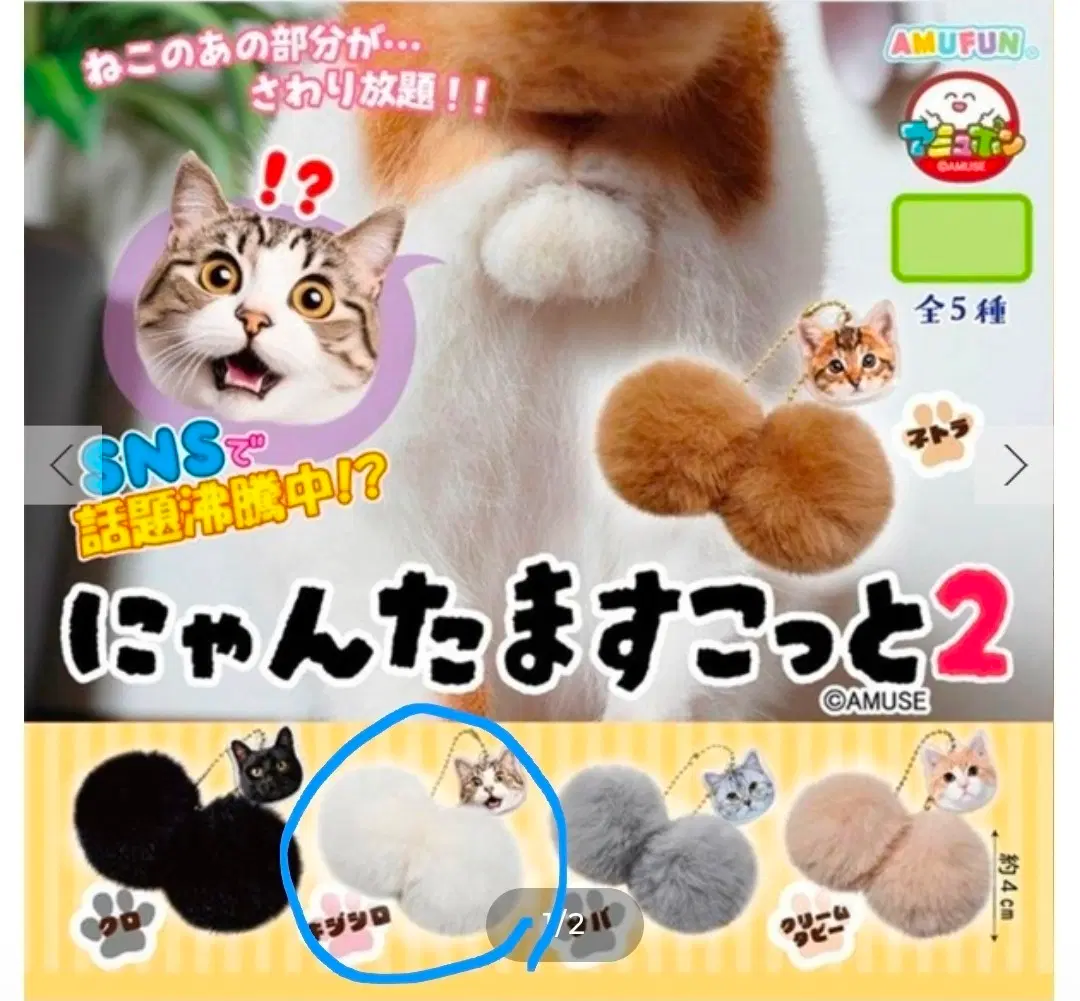 냥타마스코트 / 고양이 가챠