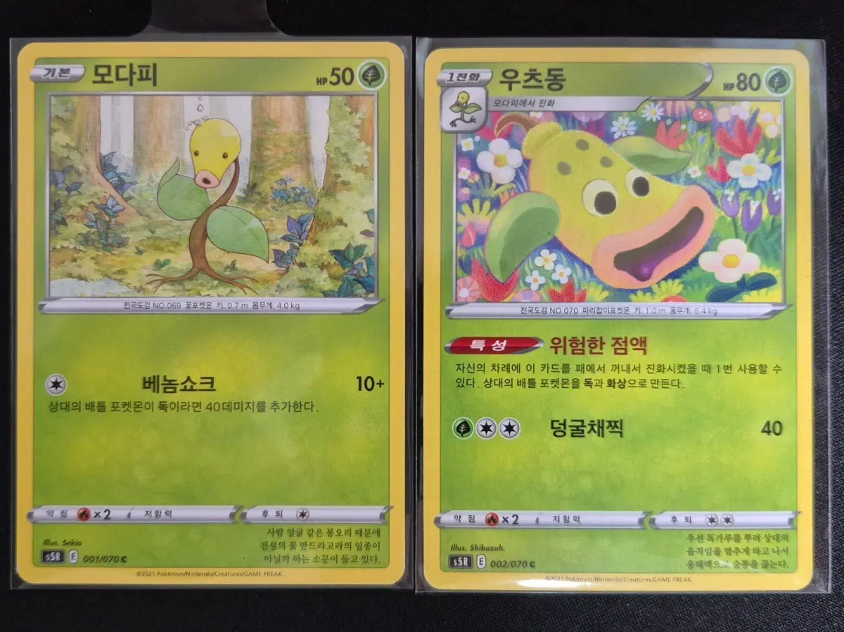 포켓몬 카드 모다피 우츠동 2장 진화세트