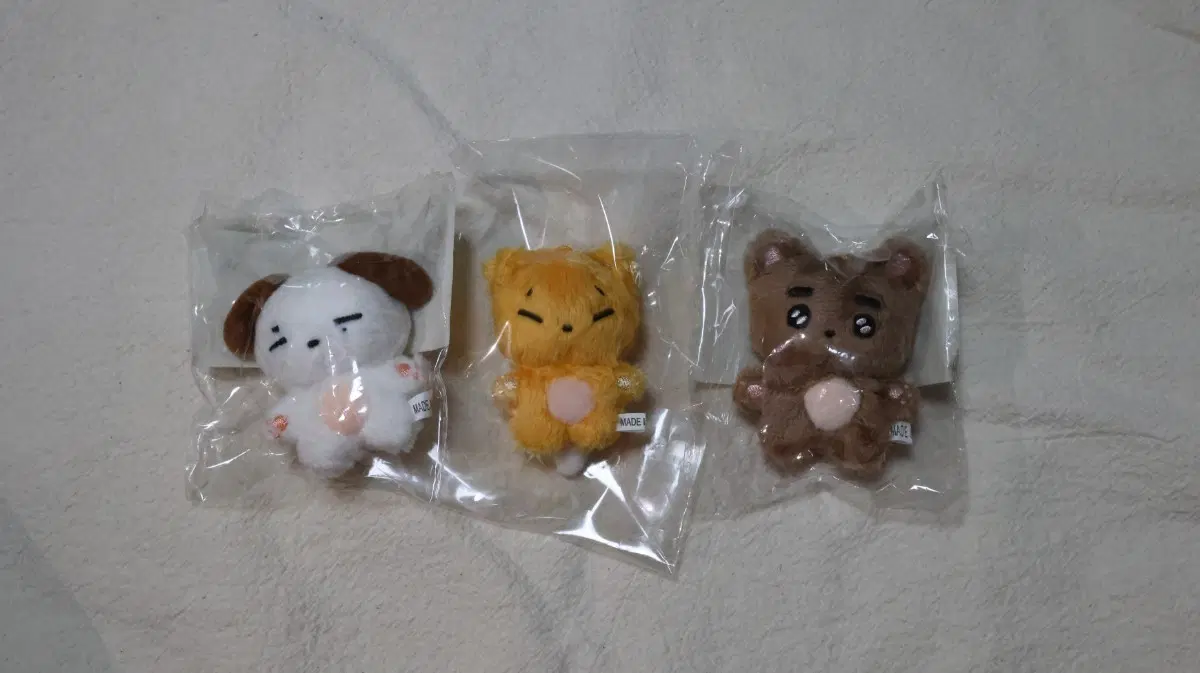 데이식스 비공굿 인형 한입식스