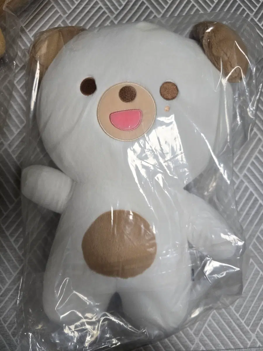 자쁘멀 돈이