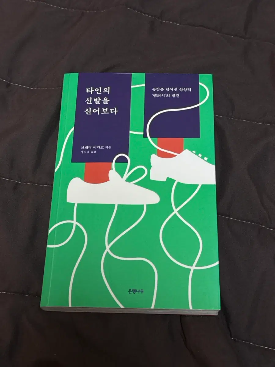 타인의 신발을 신어보다 (브래디 미카코 지음)