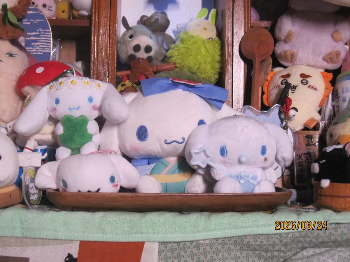 산리오 시나모롤 인형 일괄