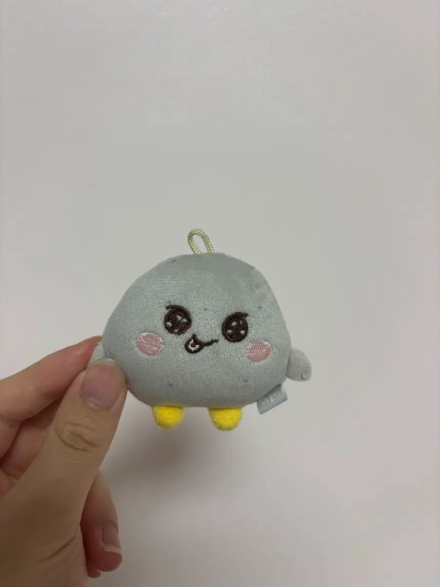 미니 송용돌이 급처