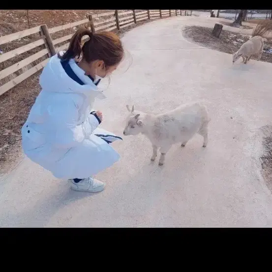 코오롱 롱패딩