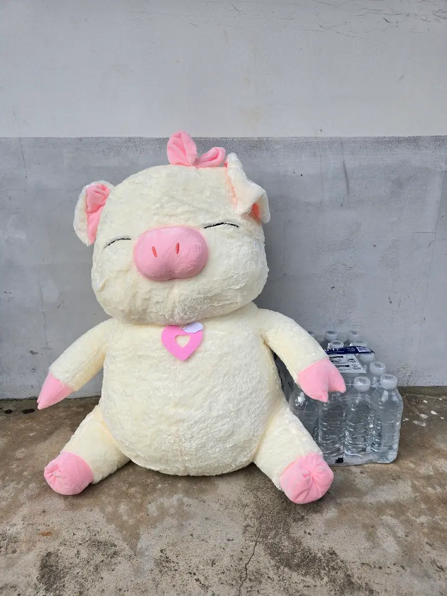 삼순이 돼지인형