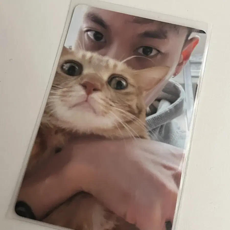 제네더질라 쇼미 포토카드