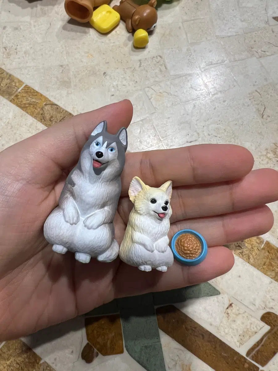 일본 강아지 가챠 일괄 허스키 치와와