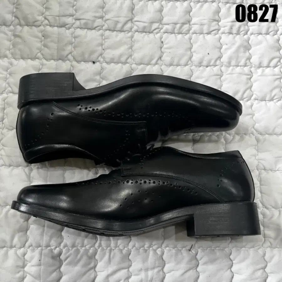 남성 윙팁 구두 블랙 265