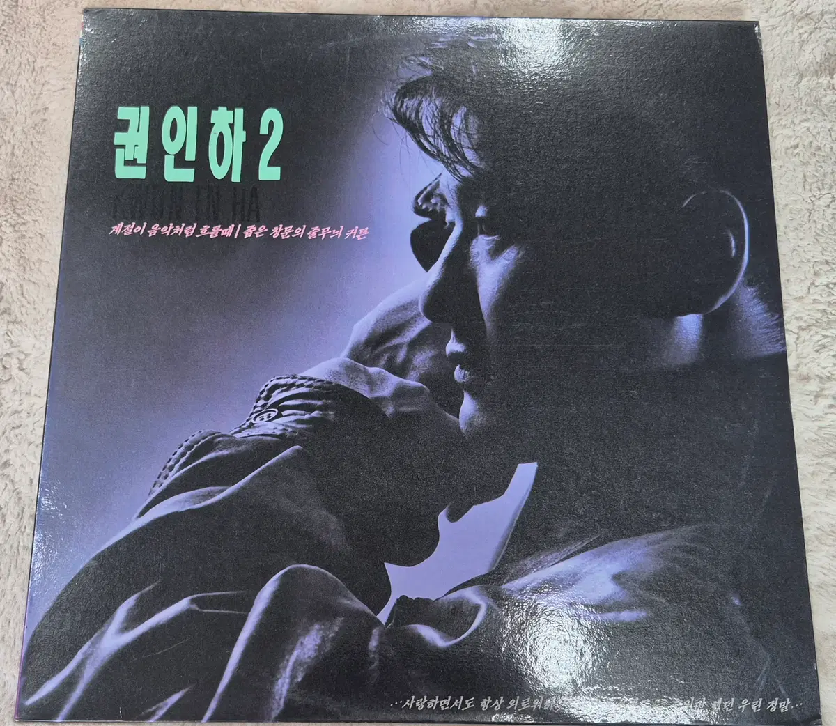 권인하 LP판
