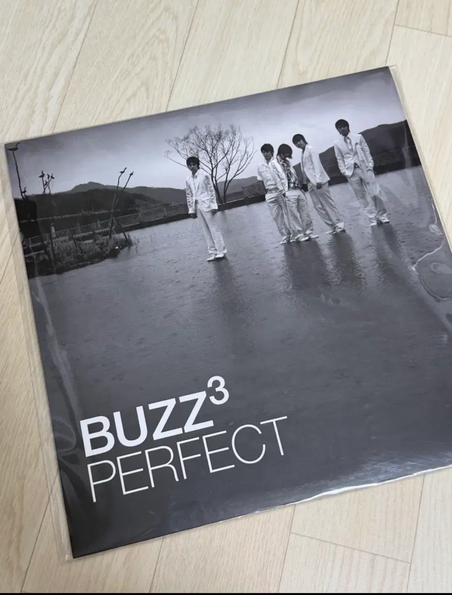 버즈 3집 PERFECT LP