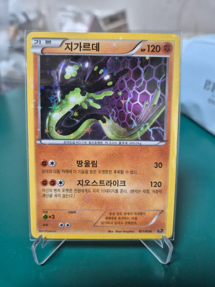 지가르데 50%폼 홀로 xy cp5 포켓몬카드
